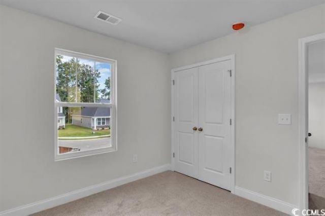 2458 Campton Loop Photo 18