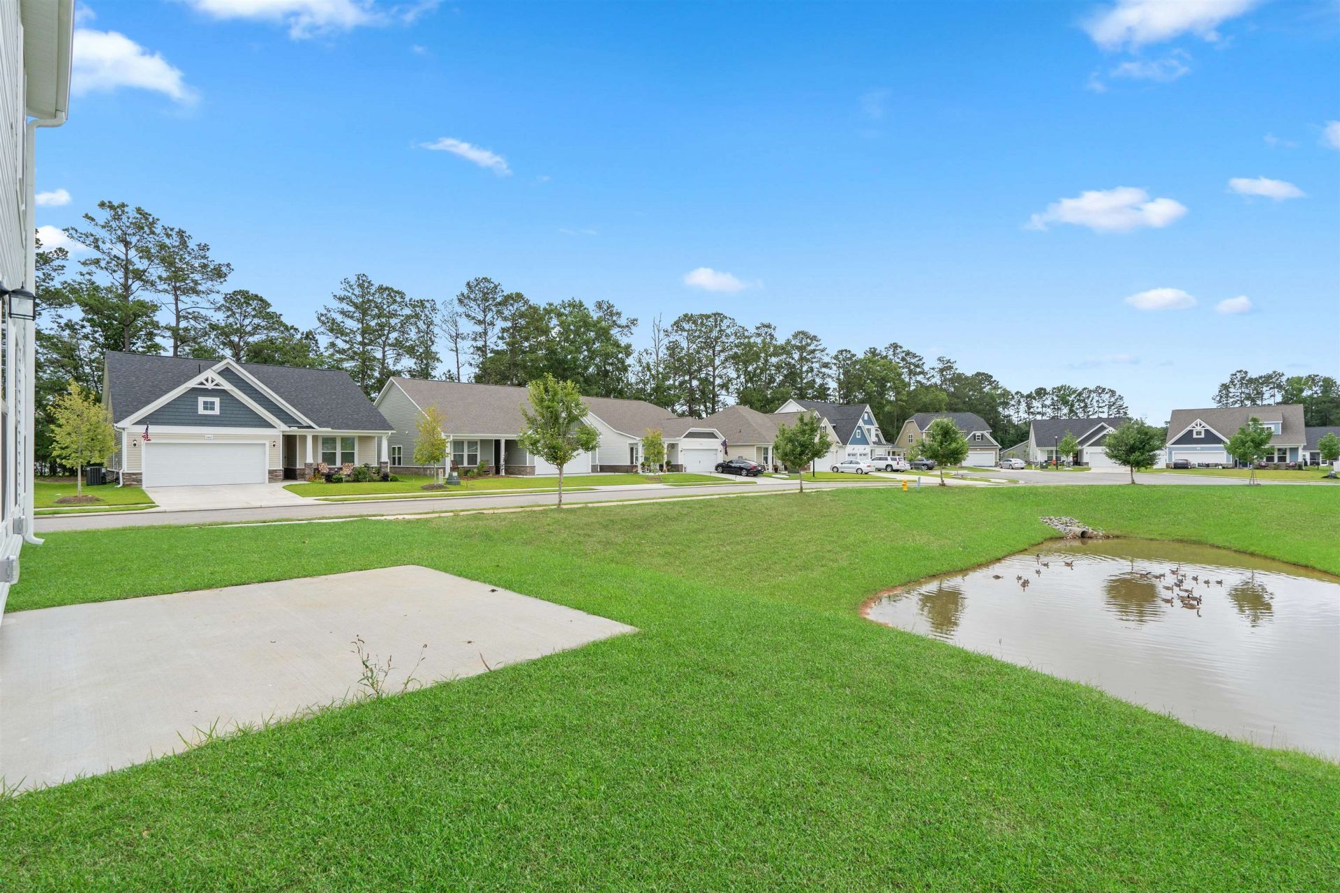 2458 Campton Loop Photo 20