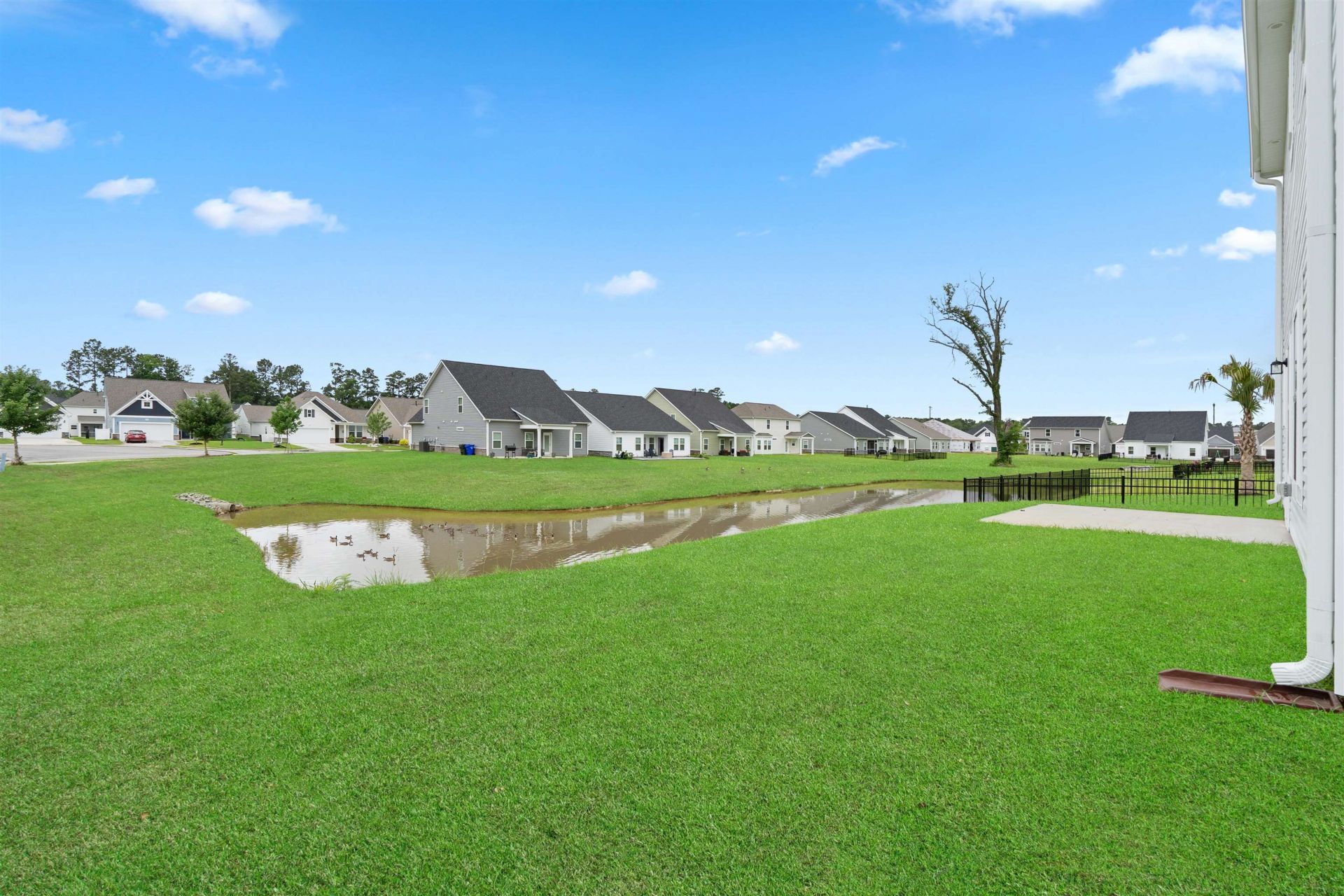 2458 Campton Loop Photo 27