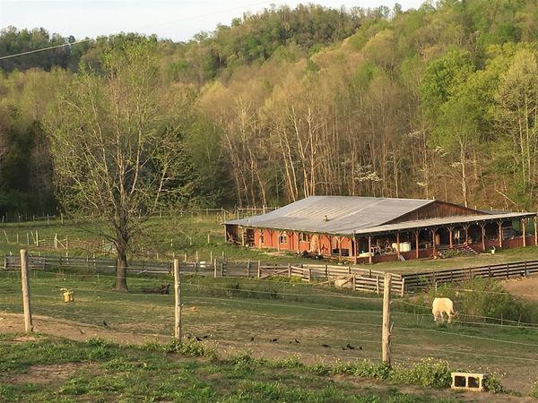 3898 Lawson Bottom Road , Burkesville, KY 42171