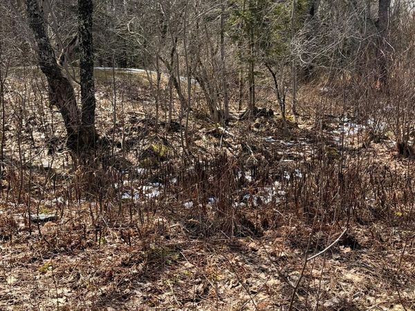 Lot 9-1 Christian Ridge Road, Ellsworth, ME 04605