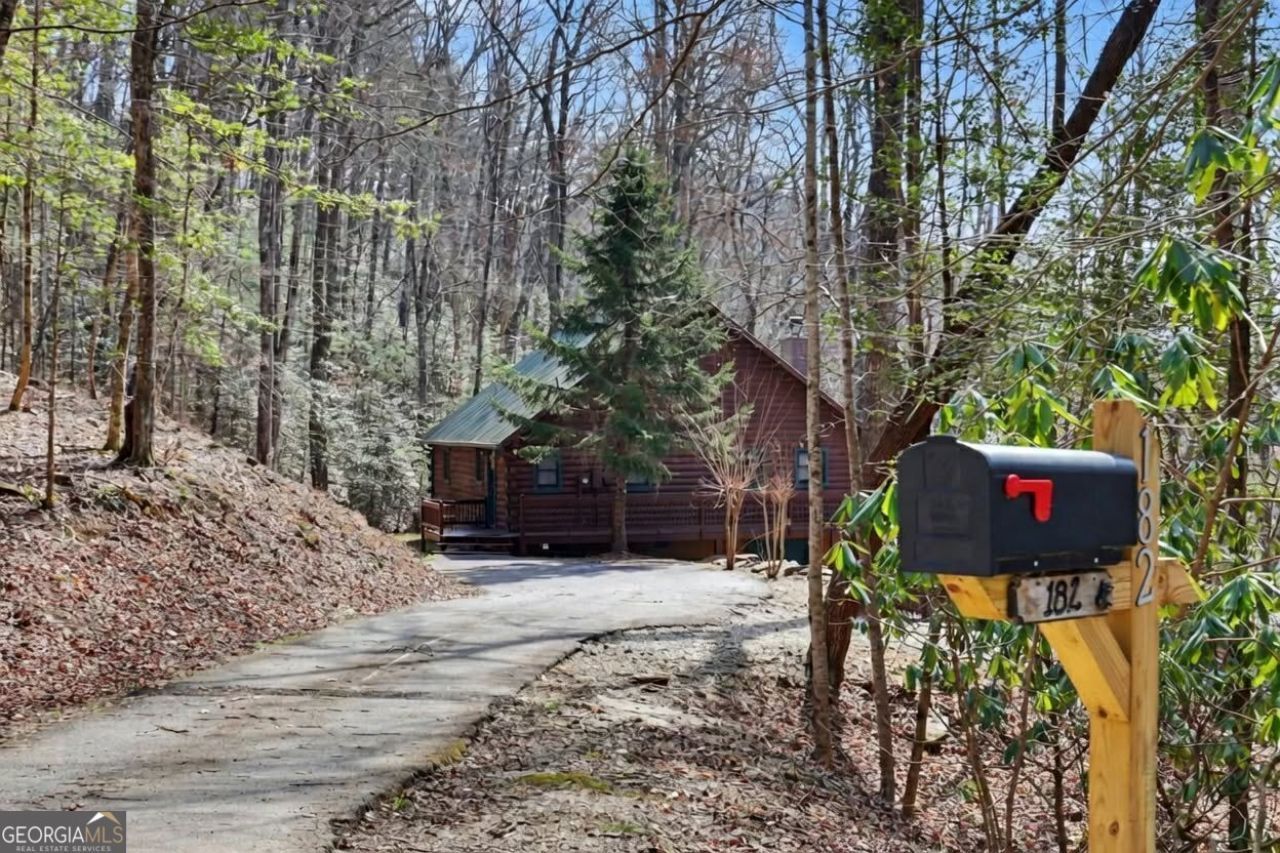 182 Blueberry Lane, Rabun Gap, GA 30568 Main Photo