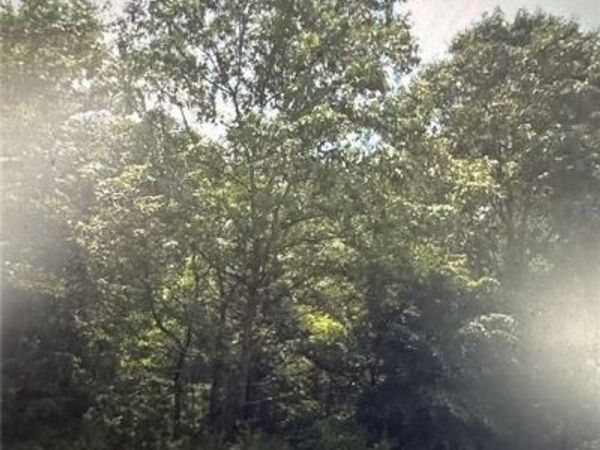 664 N Holcomb Drive, Martin, GA 30557