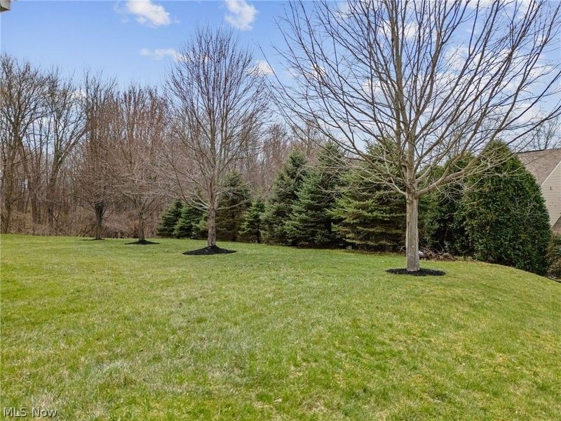 3196 Dunstone Circle, Akron, OH 44312 Photo 49