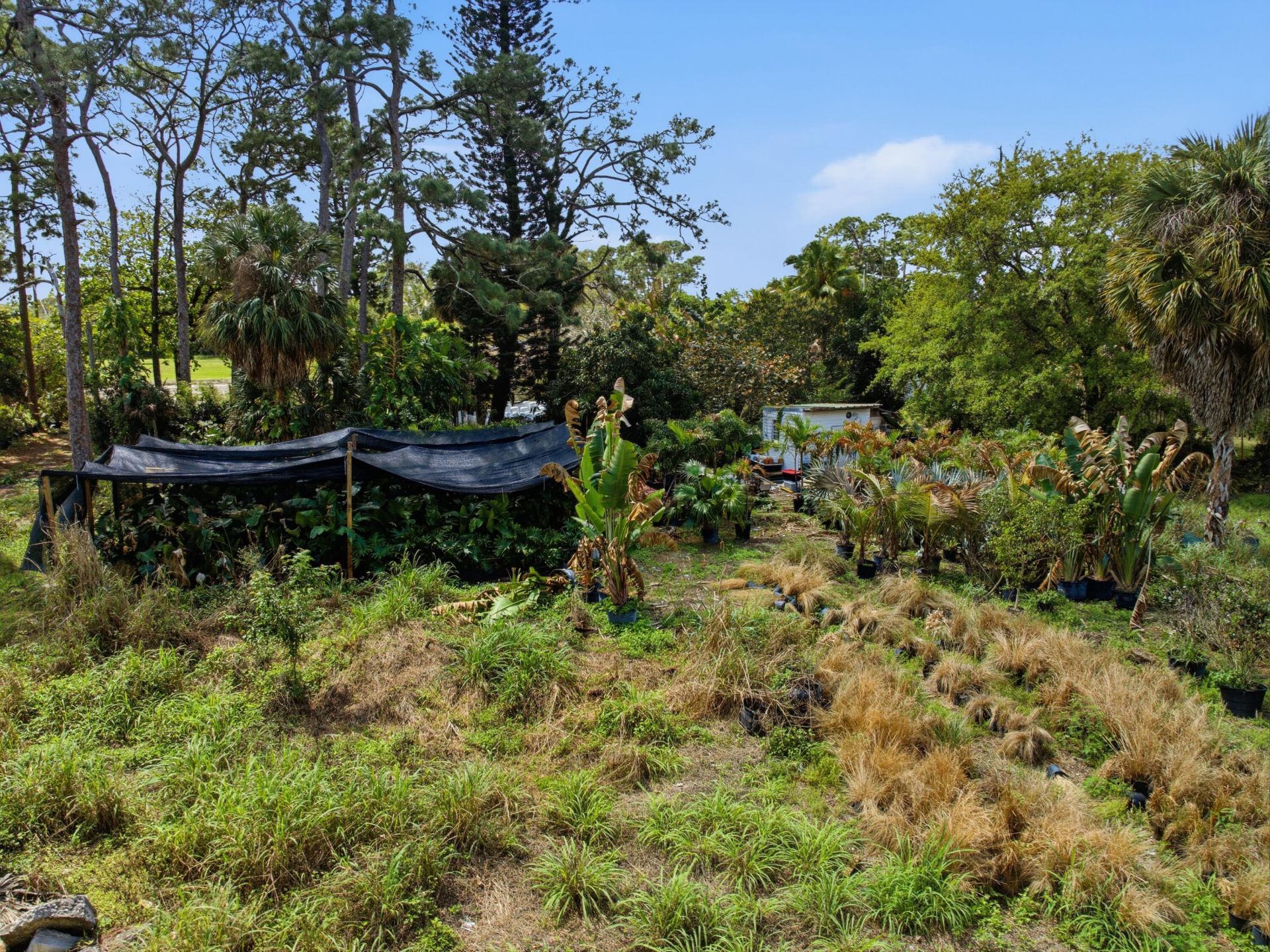 5133 Pine Grove Drive N, West Palm Beach, FL 33417 Photo