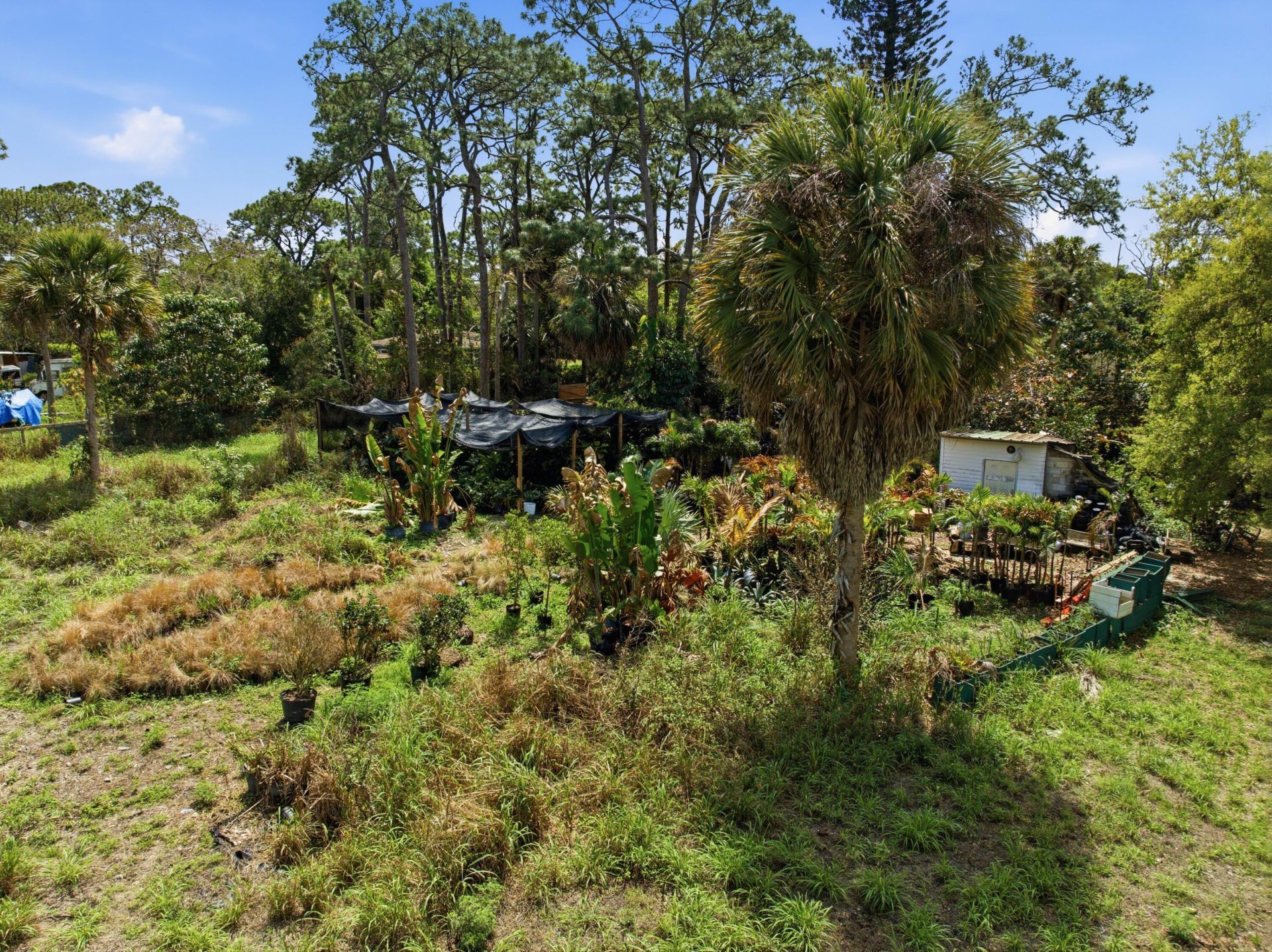 5133 Pine Grove Drive, West Palm Beach, FL 33422 Photo