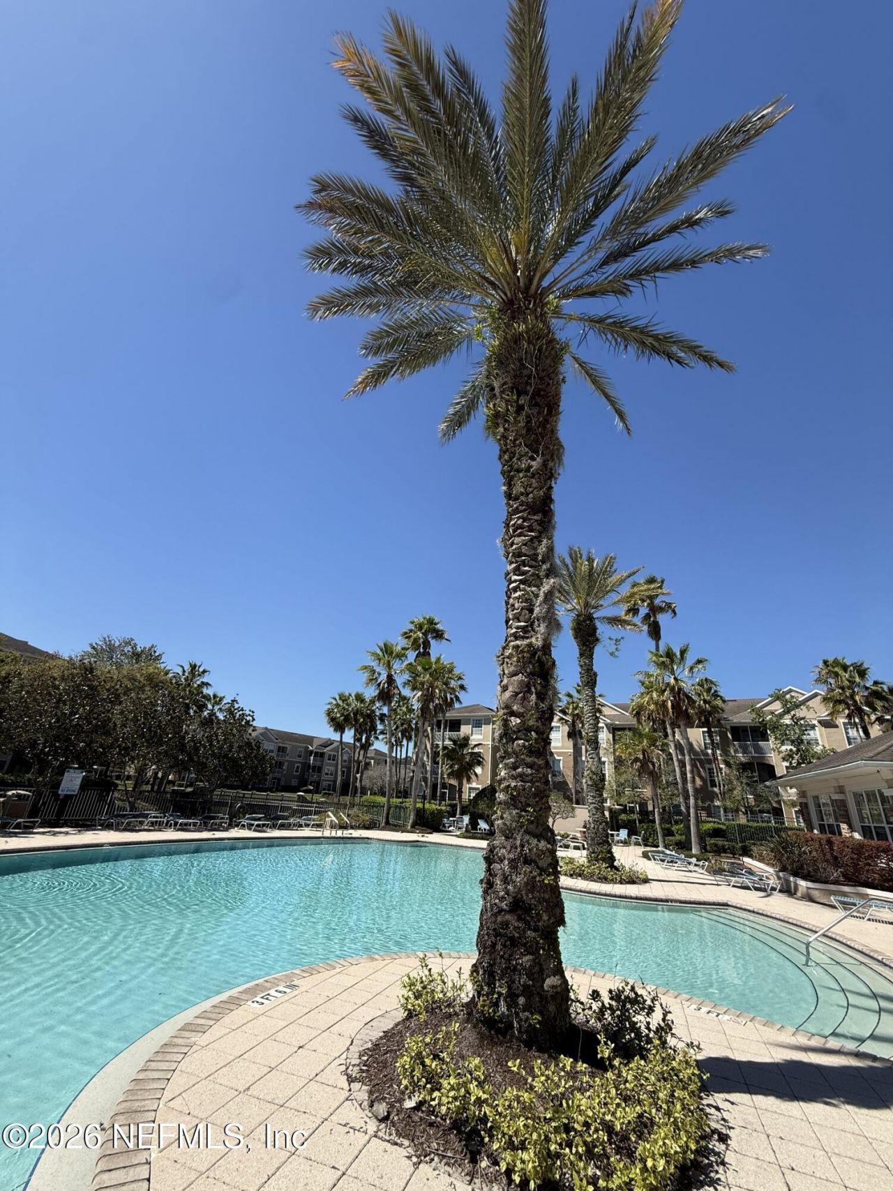 7990 Baymeadows Road E, Unit 201, Jacksonville, FL 32256 Photo