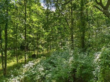 00001 LEDGEWOOD Drive , Tyrone Twp, MI 48430