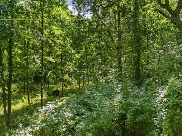 00001 LEDGEWOOD Drive , Tyrone Twp, MI 48430