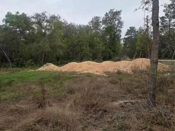 127 SEQUOIA TRAIL , OCKLAWAHA, FL 32179