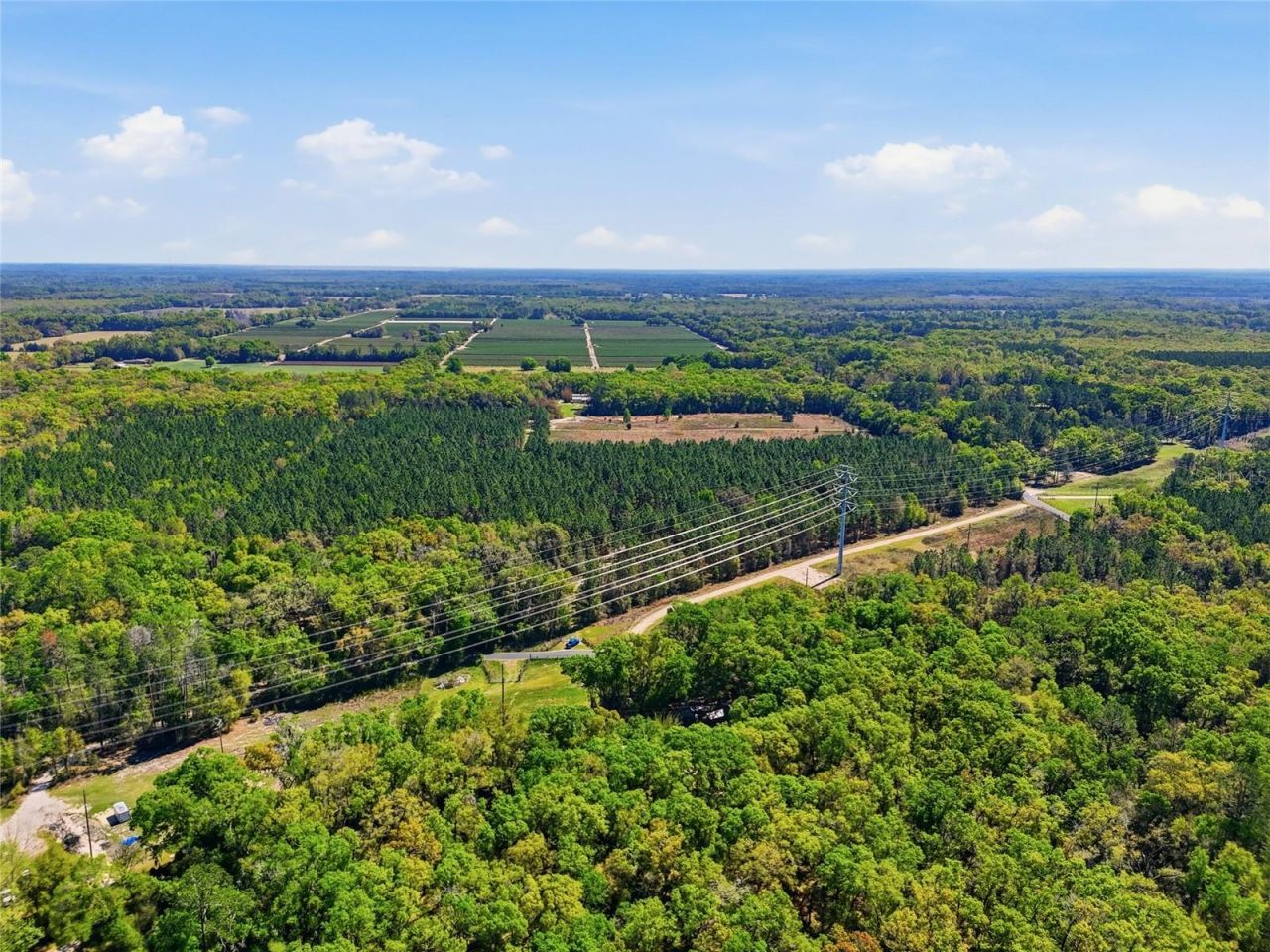 11791 SW 143rd Street Sw, Archer, FL 32618 Photo