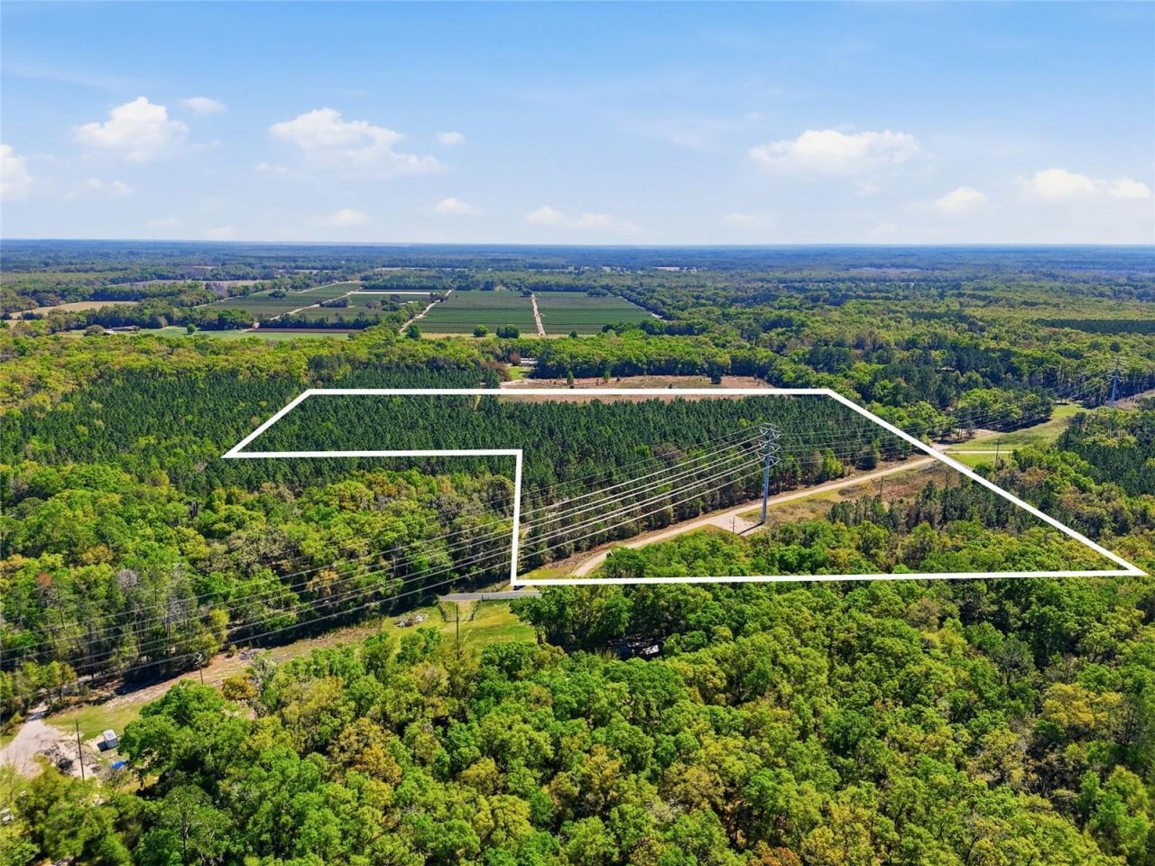 11791 SW 143rd Street Sw, Archer, FL 32618 Photo