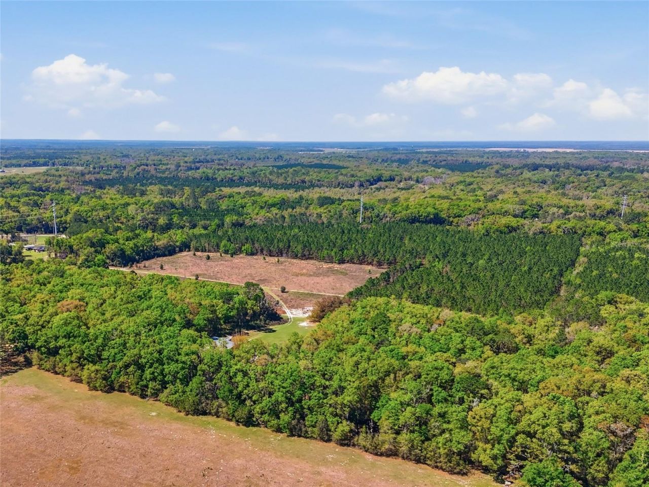 11791 SW 143rd Street Sw, Archer, FL 32618 Photo