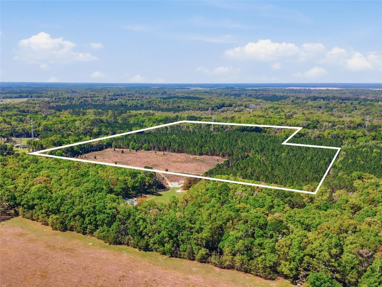 11791 SW 143rd Street Sw, Archer, FL 32618 Photo