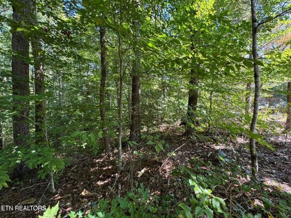 Lot 6 Saddle Brook Way , Sevierville, TN 37862