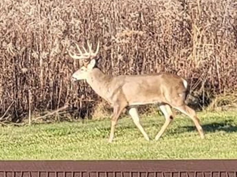 1694 McClellan Road, Spring Valley Township, OH 45385 Photo 77