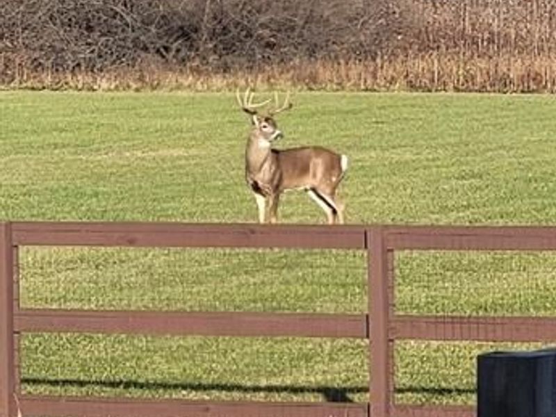 1694 McClellan Road, Spring Valley Township, OH 45385 Photo 78