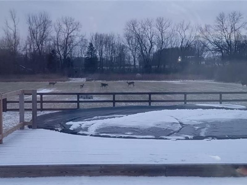 1694 McClellan Road, Spring Valley Township, OH 45385 Photo 79