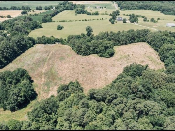 999 Moores Chapel Road , Greenfield, TN 38230