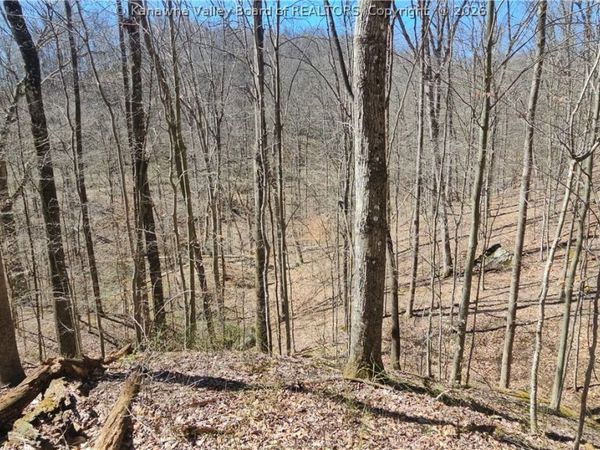 x Bufflick Road, Clendenin, WV 25045