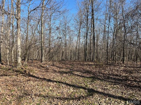 Tract #1 Lake Road, Silva, MO 63964