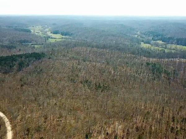 Parcel #1 Lake Road , Silva, MO 63964