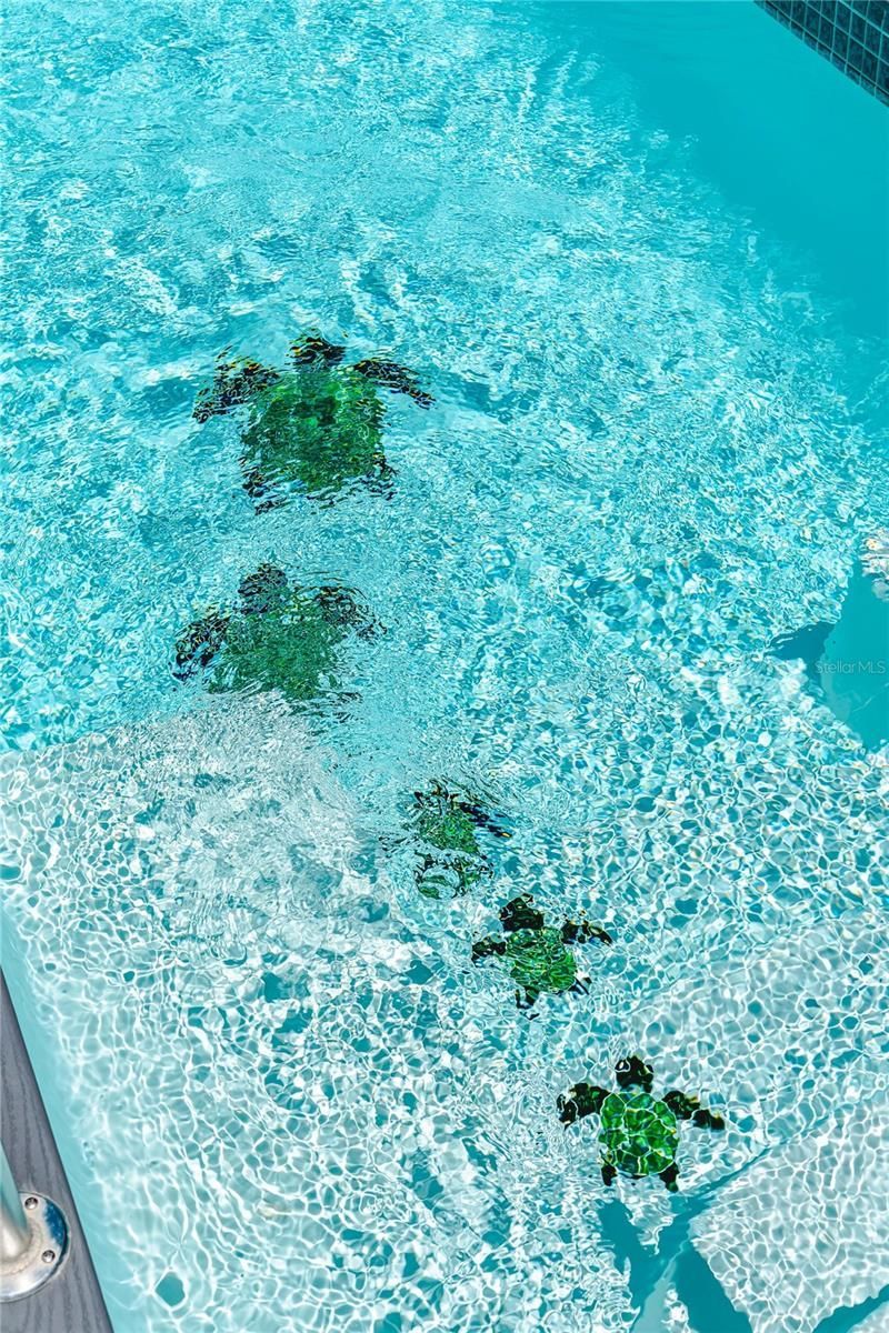 469 Haven Road, Cape San Blas, FL 32456 Photo