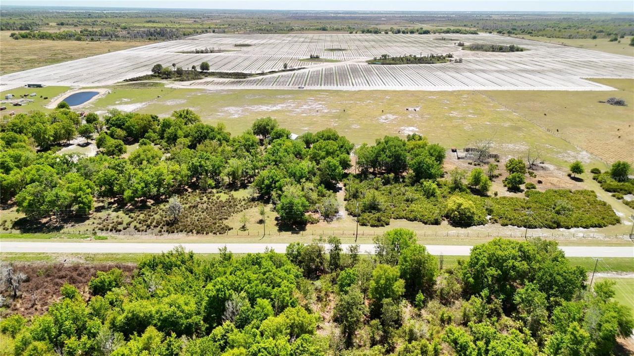 Avon Park Cutoff Road , Fort Meade, FL 33841 Photo