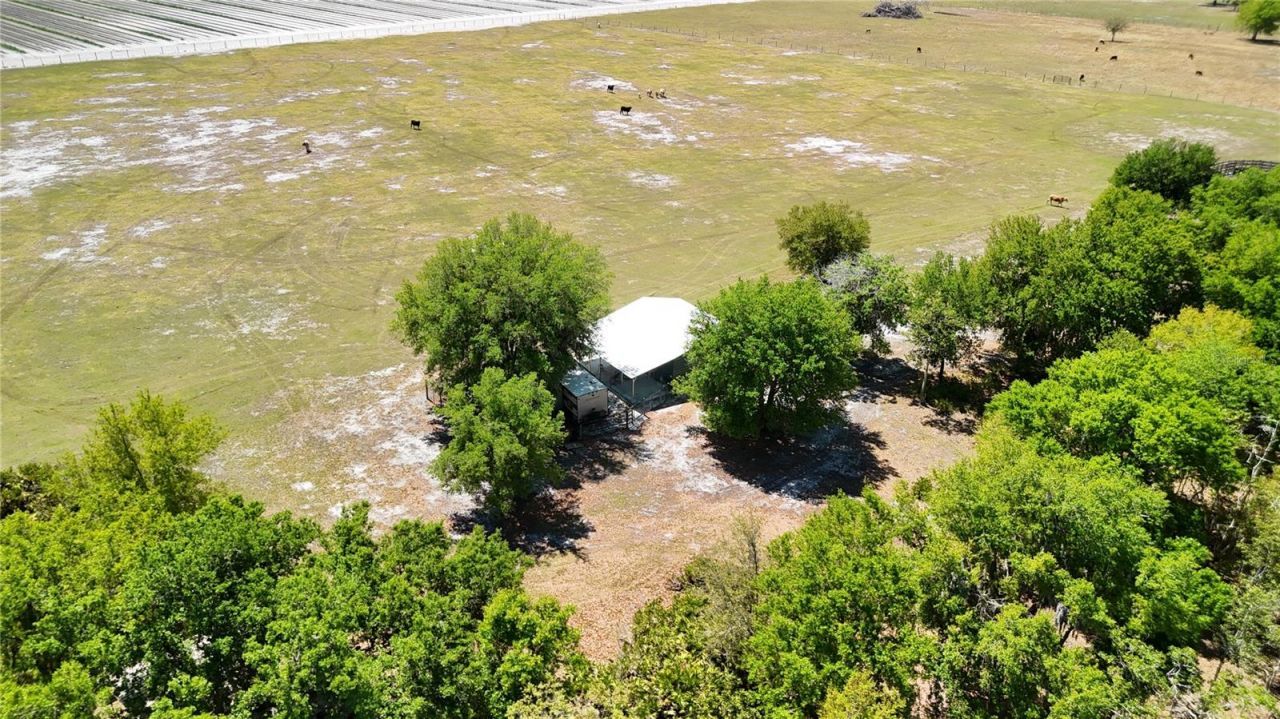 Avon Park Cutoff Road , Fort Meade, FL 33841 Photo