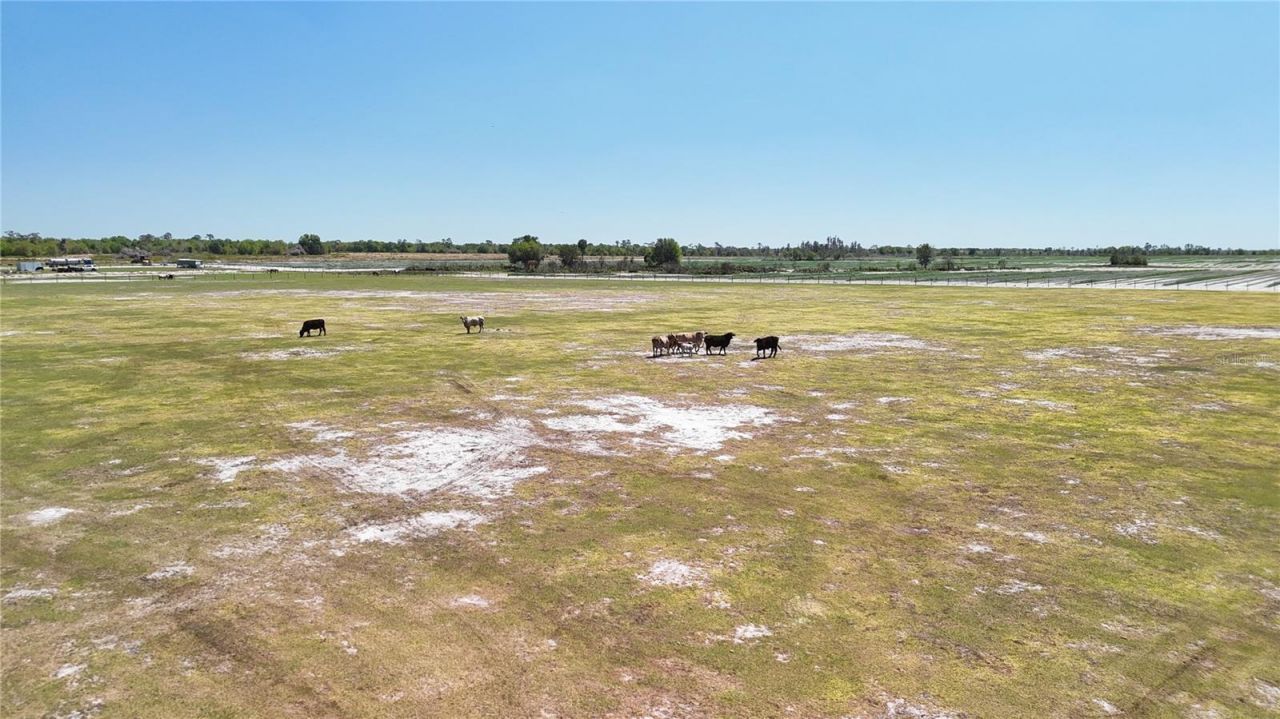 Avon Park Cutoff Road , Fort Meade, FL 33841 Photo