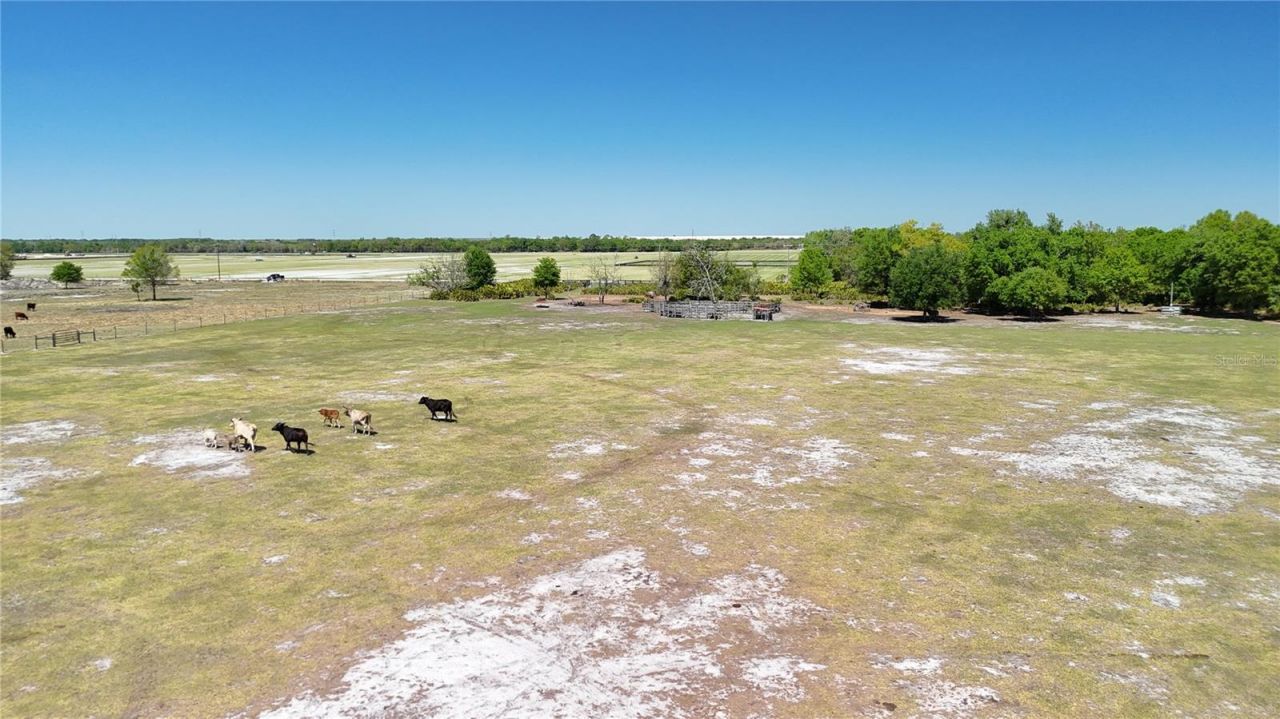 Avon Park Cutoff Road , Fort Meade, FL 33841 Photo