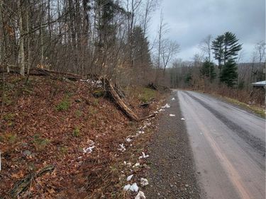 0 Schlafer Road, Guilford, NY 13780