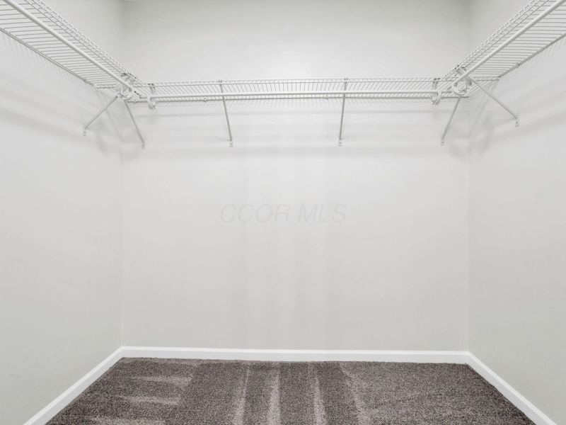 122 Spring Flower Way, Etna, OH 43062 Photo 43