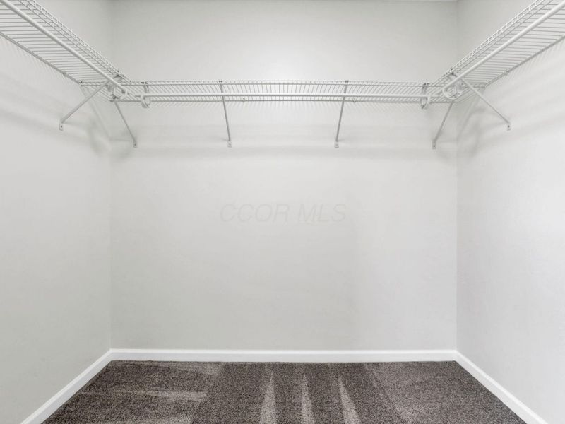 122 Spring Flower Way, Etna, OH 43062 Photo 45