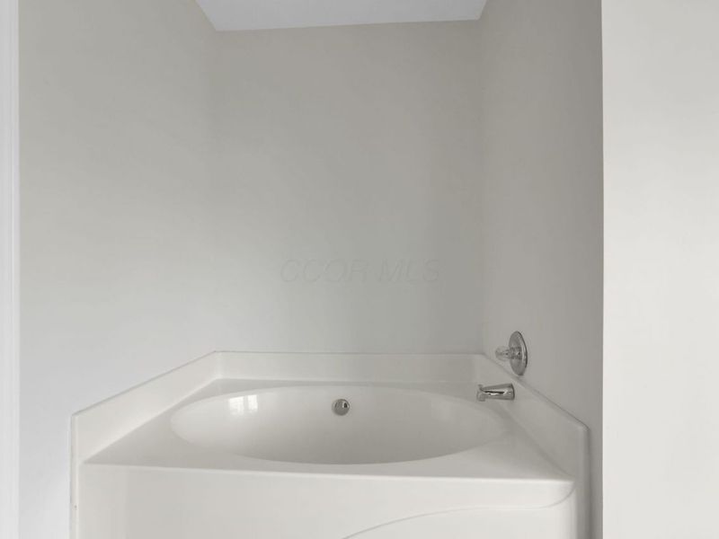 122 Spring Flower Way, Etna, OH 43062 Photo 47