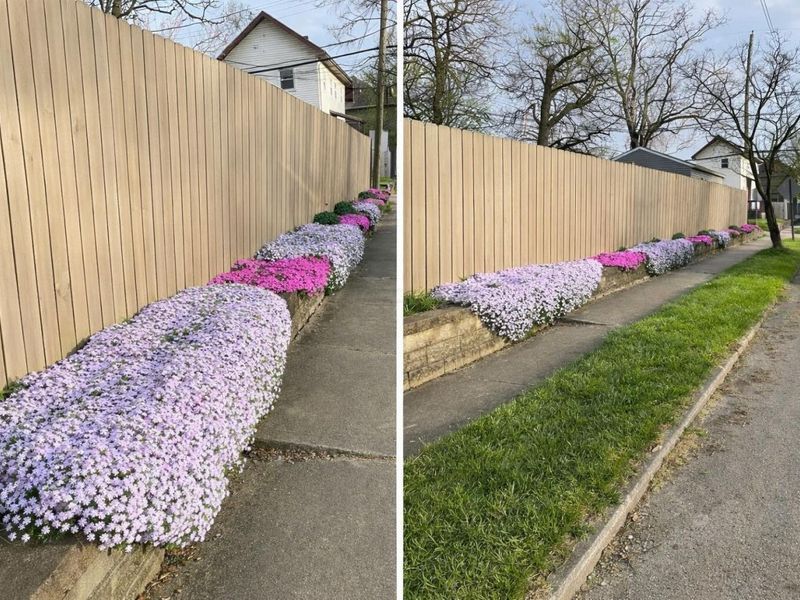 363 E Morrill Avenue, Columbus, OH 43207 Photo 35