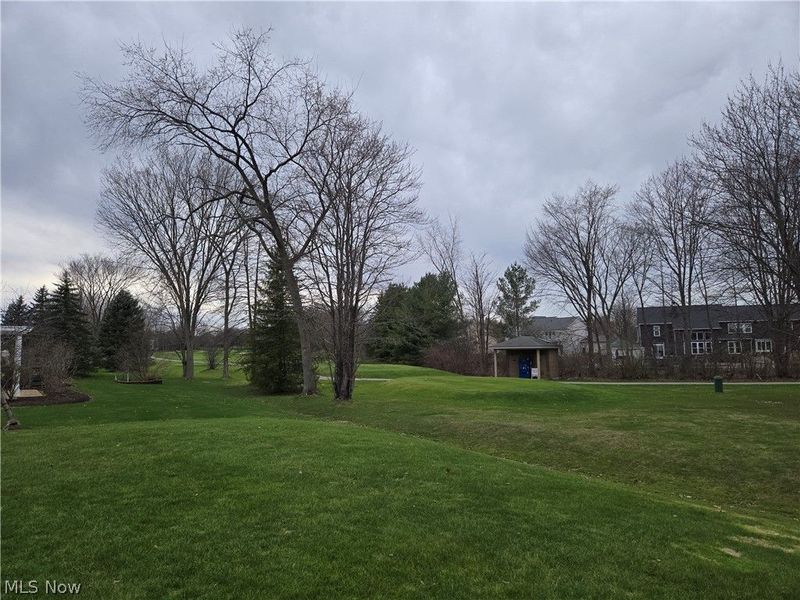 9910 Country Club Circle, Twinsburg, OH 44087 Photo 21