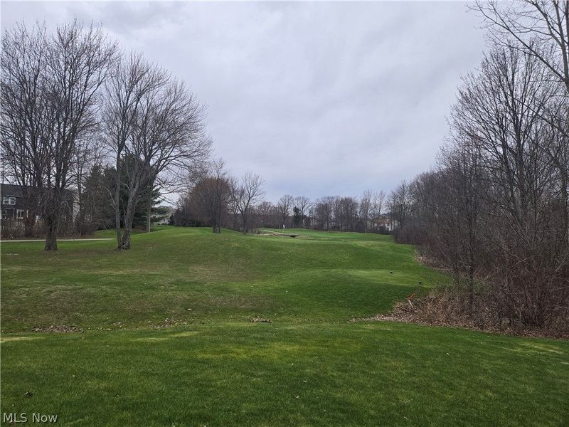 9910 Country Club Circle, Twinsburg, OH 44087 Photo 22