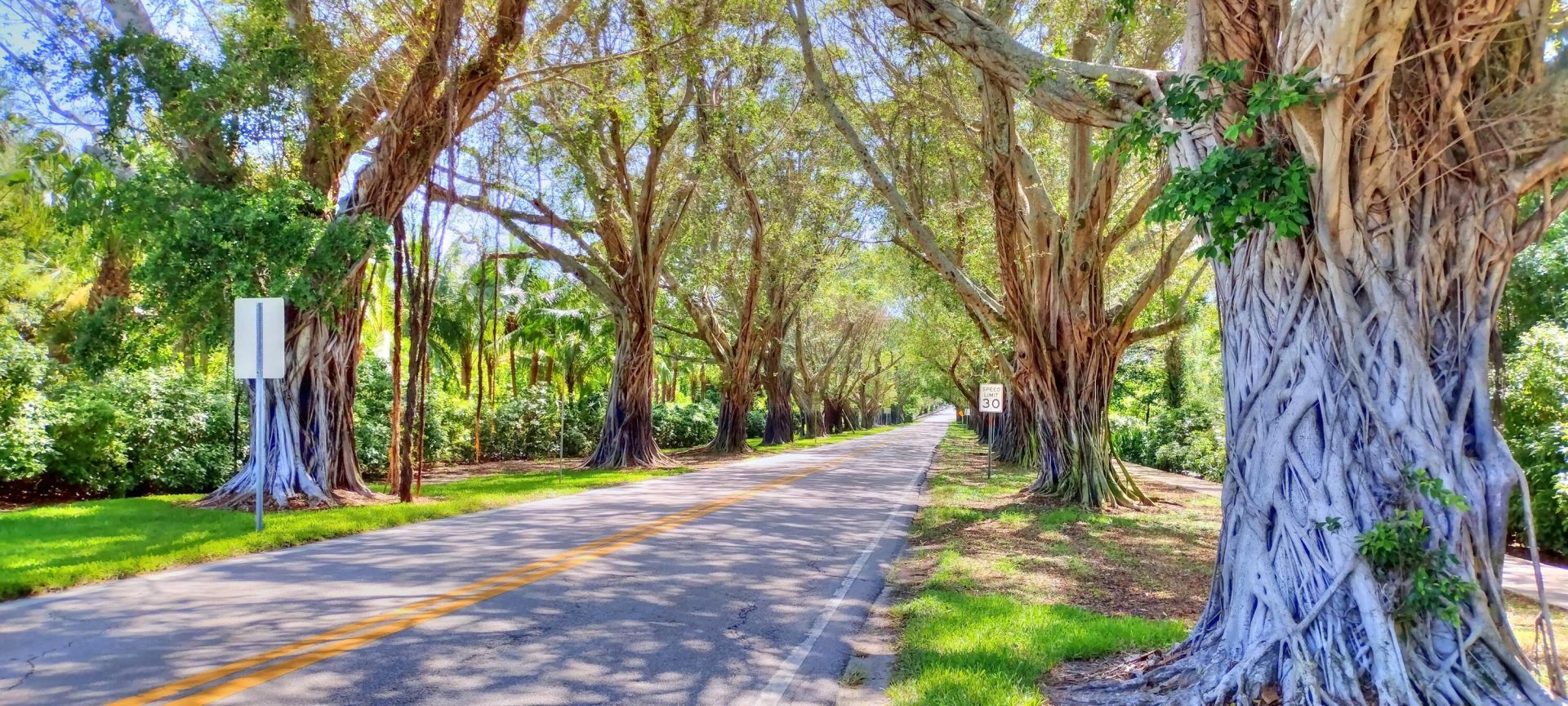 6163 SE Georgetown Place, Hobe Sound, FL 33455 Photo