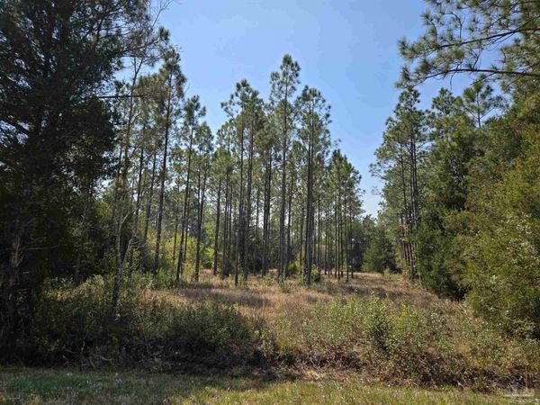 6641 Delhi Dr, Milton, FL 32583