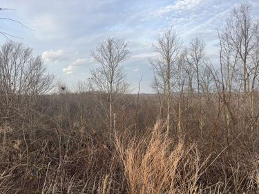 637 Walk Log Branch Road, Beattyville, KY 41311