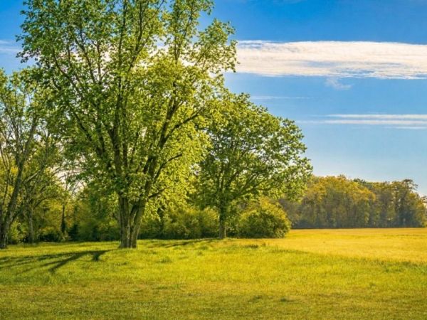 TBD Vinson Ray Road, Baker, FL 32531