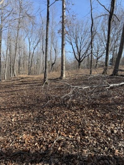 0 Old Hwy 96, Franklin, TN 37064 Main Photo