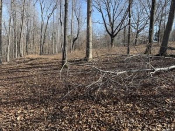 0 Old Hwy 96, Franklin, TN 37064