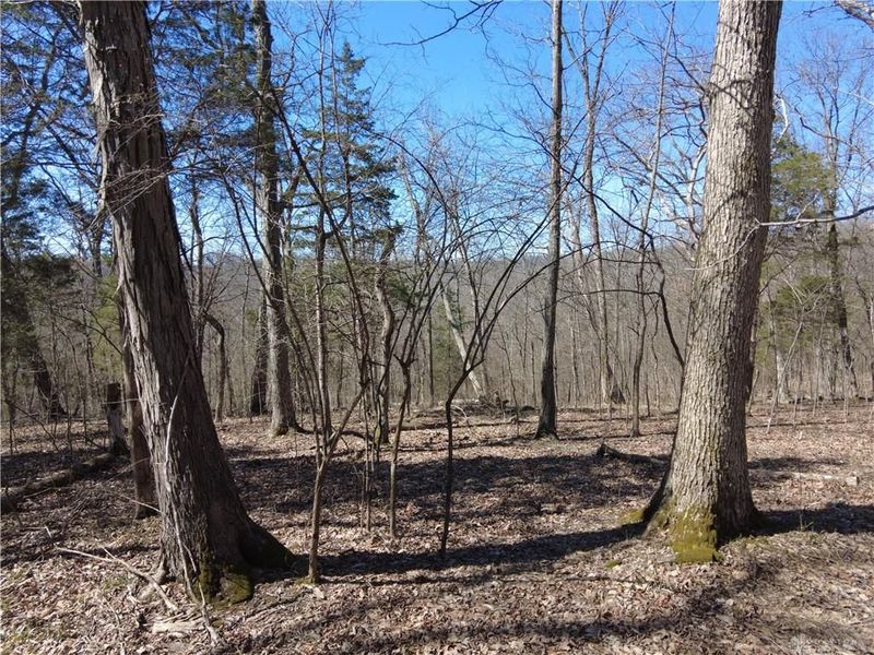 542 Ginger Lane, West Union, OH 45693 Photo 10