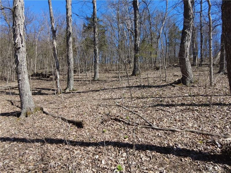 542 Ginger Lane, West Union, OH 45693 Photo 12