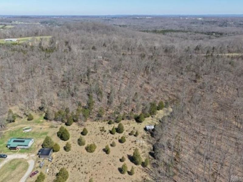 542 Ginger Lane, West Union, OH 45693 Photo 16