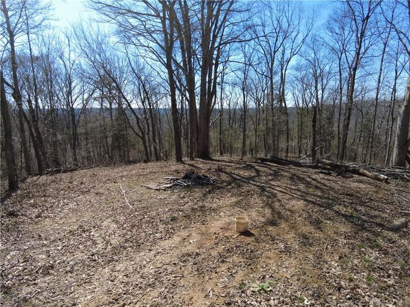 542 Ginger Lane, West Union, OH 45693 Photo 8