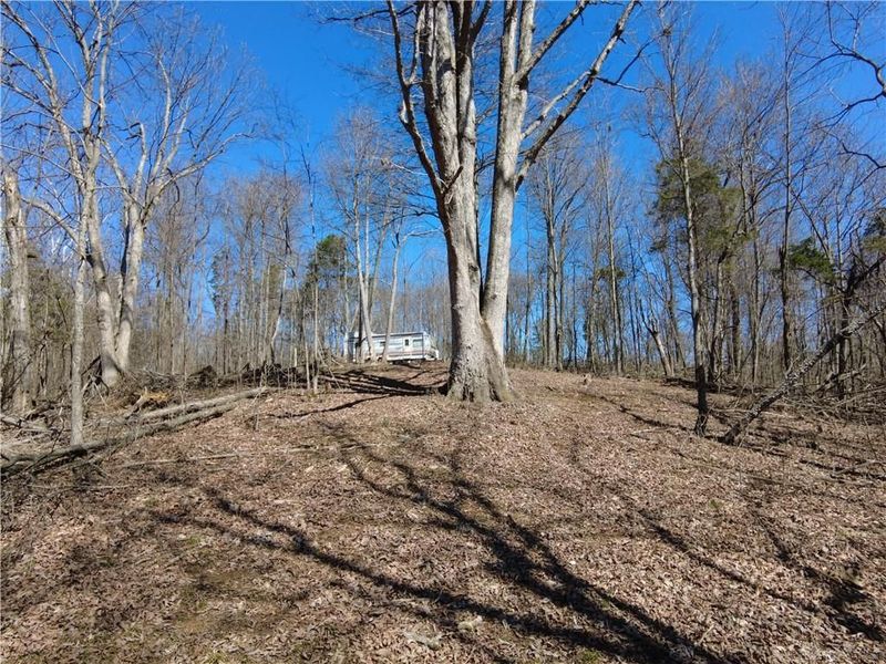 542 Ginger Lane, West Union, OH 45693 Photo 9