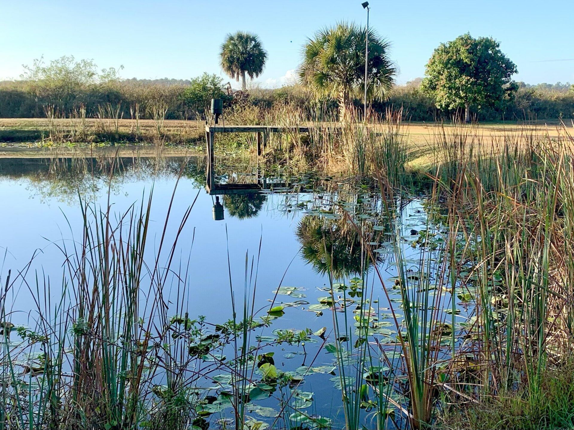 1418 NW 141st Street, Okeechobee, FL 34972 Photo